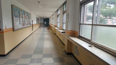 대전페인트방수공사 PC 이미지 5452638