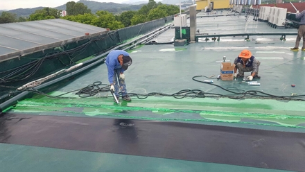 대전페인트방수공사 PC 이미지 5452630